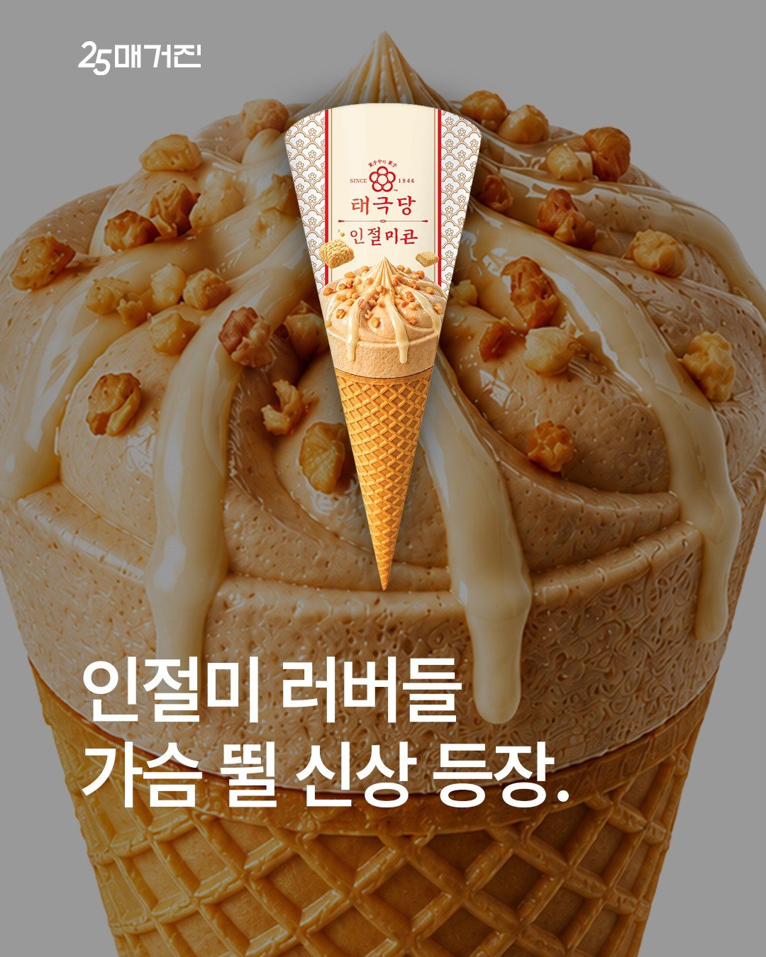 GS25 태극당 인절미콘