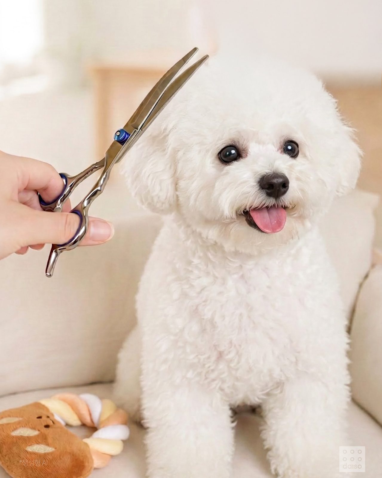 다이소 반려동물 미용용품 신상! 🐾✂️