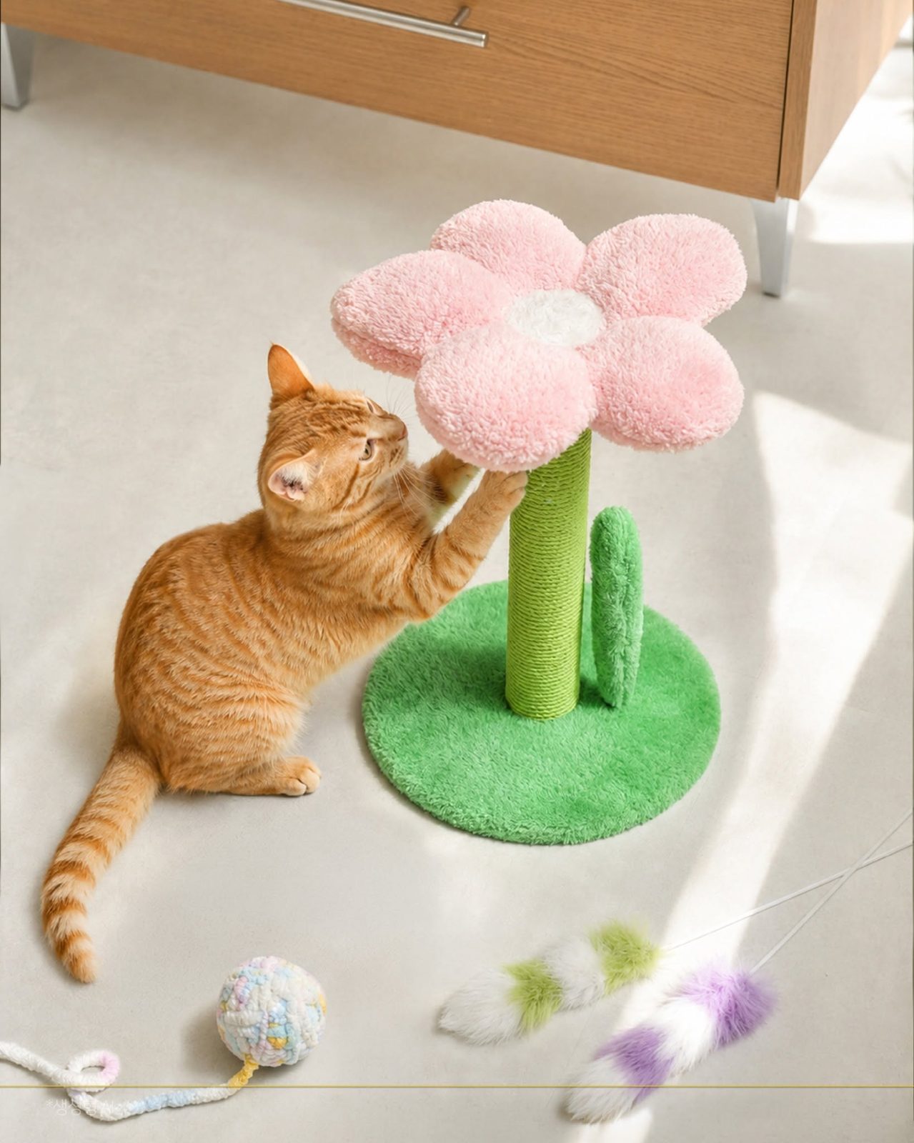 다이소 8월 신상🐱 고양이 집사 취향저격! 귀여운 스크래쳐 4종