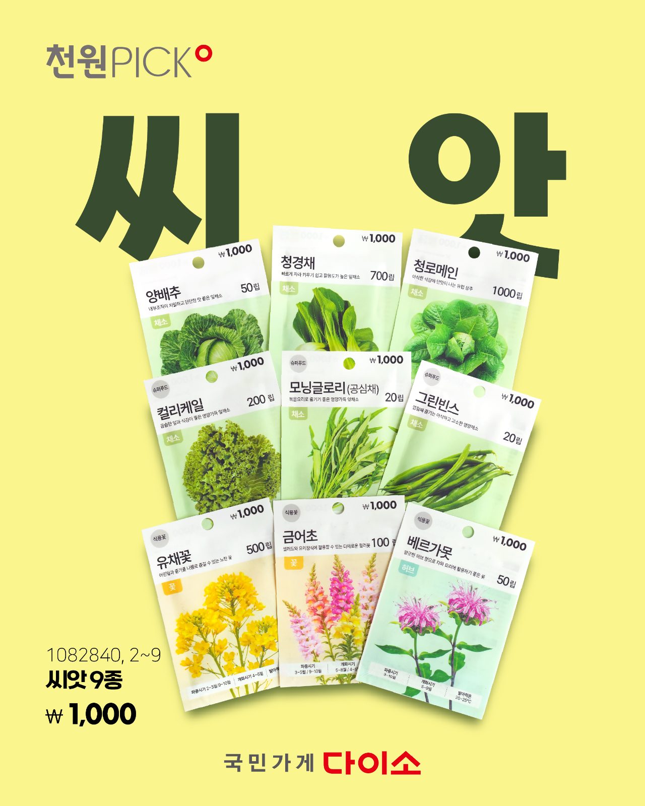 다이소 천원 PICK🌱 씨앗 심고 직접 수확하는 재미까지!